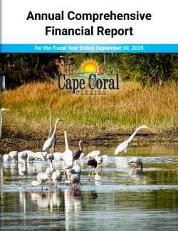 Cover of 2025 Annual Comprehensive Financial Report